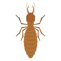 Isolated colored ant insect animal icon Vector