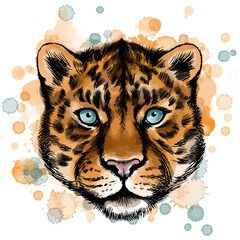 Vector illustration of leopard portrait with watercolor spots