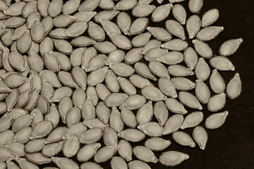 Raw pumpkin seeds are lying and drying on a black kitchen baking sheet from a gas oven.