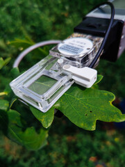Measuring plant photosynthesis by using portable device