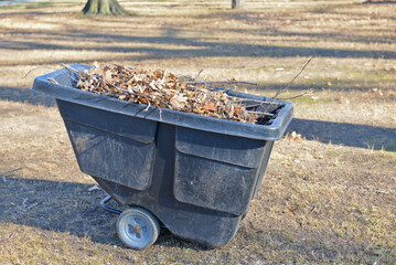 Wheeled trash can filled with fallen leaves and tree branches.