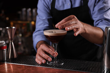 Bartender preparing Espresso Martini in bar, closeup. Alcohol cocktail