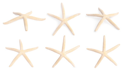 Fototapeta na wymiar Collage with sea star isolated on white, different angles