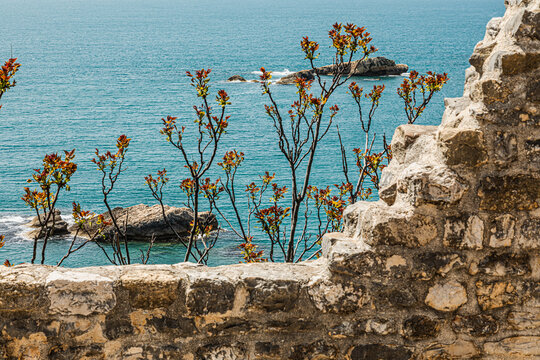 Old town of Ulcinj. Montenegro, Adriatic sea, Balkan, architecture, Crna Gora, 