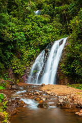 Waterfall tropical forest