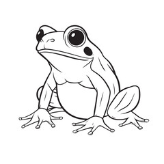 A frog sits on a white background, simple flat outline