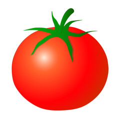Tomato illustration on white background.