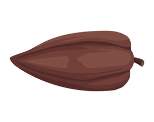 cacao grain icon