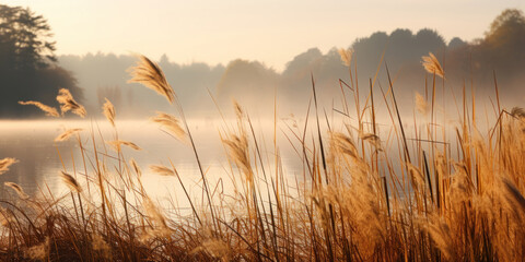 Fototapeta premium Diffused light of a misty autumn afternoon, this image showcases a serene lake surrounded by tall grasses, their golden heads swaying gently in the breeze
