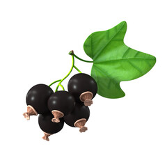 Fruits 3D Illustration