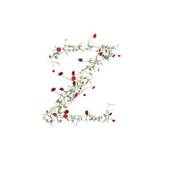 Font made from leaves, twigs, and flowers, alphabet, font art 3d rendering with transparent background