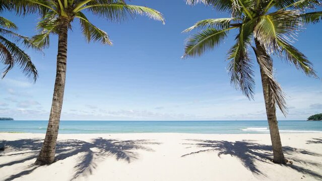 Paradise beach palm trees sunny background. tropical island seascape summer.
