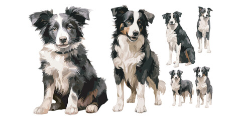 watercolor puppy border collie clipart for graphic resources - obrazy, fototapety, plakaty