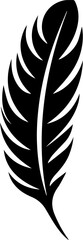 Obraz premium Feather