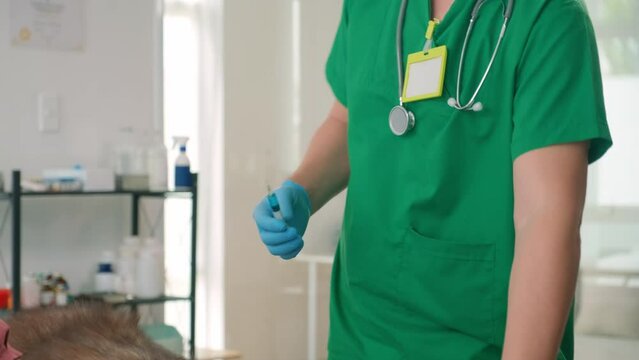 Cropped shot of male doctor in green uniform and gloves giving injectio to Alaskan Malamute dog while woman helping to calm pet at checkupCropped shot of male doctor in green uniform and gloves giving