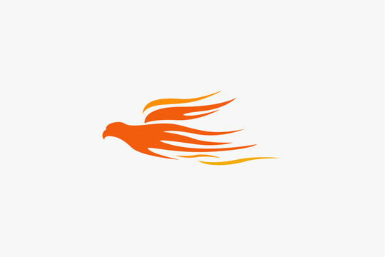 Illustration vector graphic of flying eagle flame. Good for logo