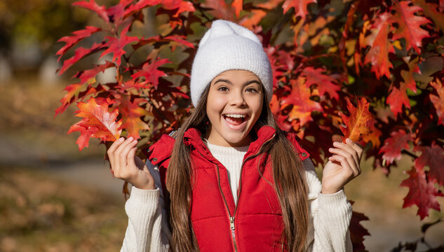 teenage girl wear autumn season clothes. Autumn paints nature in warm hues. school girl in september. amazed teen girl in autumn. teenage girl at autumn oak leaves