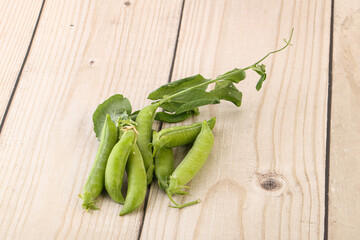 Ripe green pea - organic pant