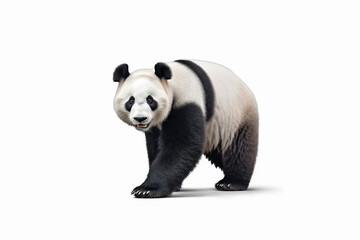 giant panda bear generative ai