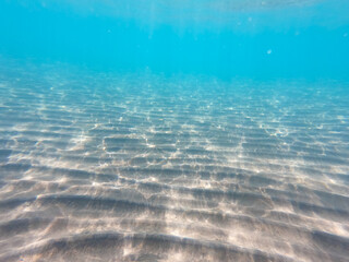 Sandy sea bottom Marine life, Underwater background. Clear water. underwater background with sandy...