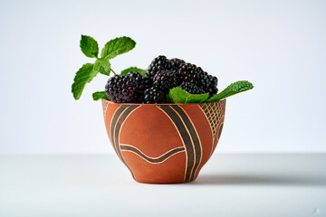 Fresh blackberries in a ceramic bowl on a light background
