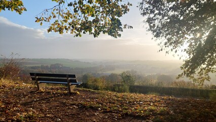 bench in the park