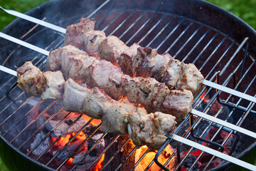 grilled marinated pork meat skewers