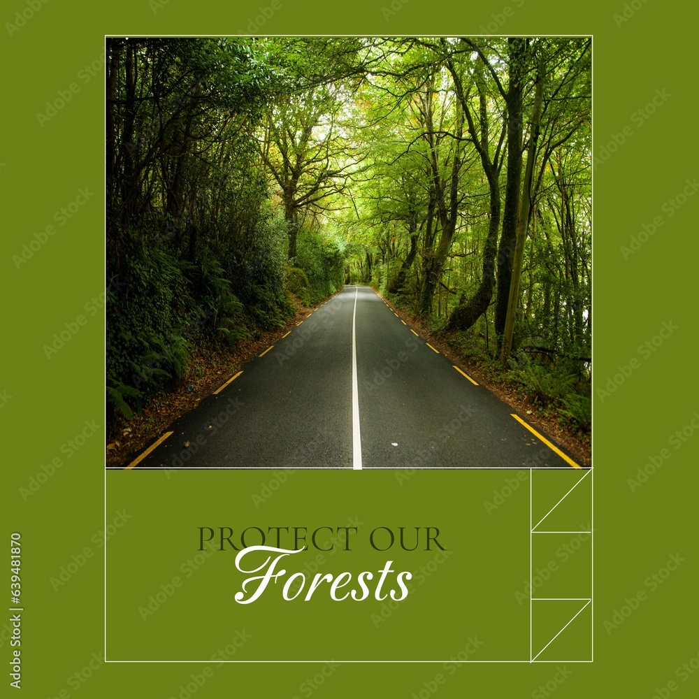 Poster composite of protect our forests text and idyllic view of empty road passing through trees in forest