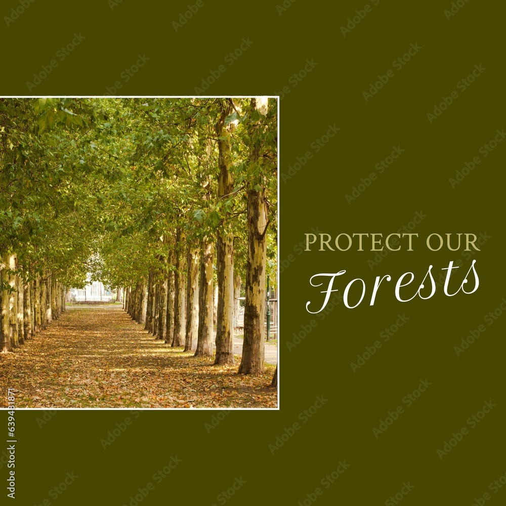 Poster composite of protect our forests text and scenic view of trees growing in a row at forest