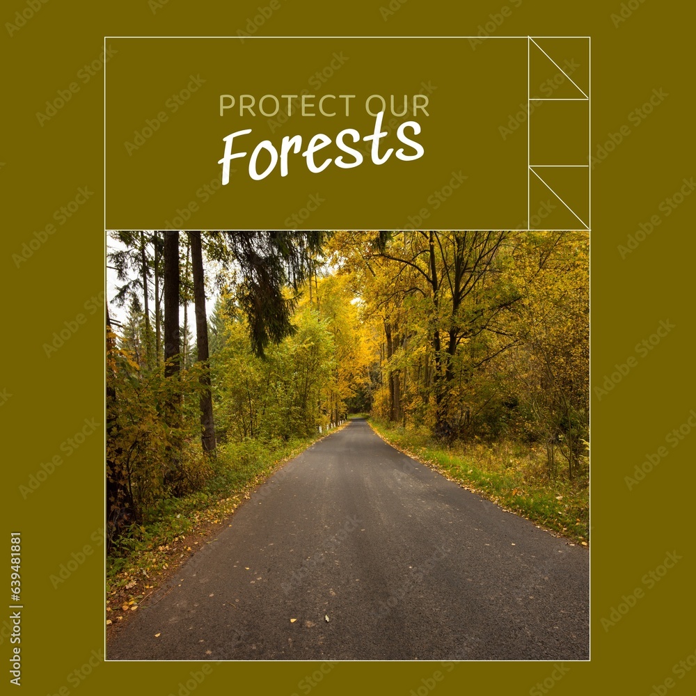 Wall mural Composite of protect our forests text and idyllic view of empty road passing through trees in woods