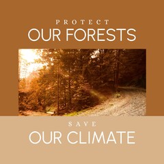 Fototapeta premium Composite of protect our forests and save our climate text and trees in woodland during sunset