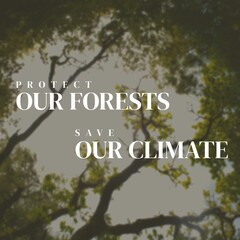 Composite of protect our forests and save our climate text and trees growing under sky in woods