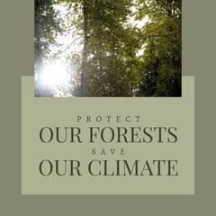 Composite of protect our forests and save our climate text and sun shining through trees in forest