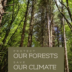 Composite of protect our forests and save our climate text and tall trees growing in woodland