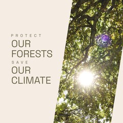 Fototapeta premium Composite of protect our forests and save our climate text, sun shining through trees in woodland