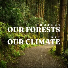 Obraz premium Composite of protect our forests and save our climate text and lush trees growing in woodland