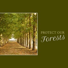 Fototapeta premium Composite of protect our forests text and scenic view of trees growing in a row at forest