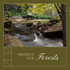 Obraz premium Composite of protect our forests text and beautiful view of river flowing in forest