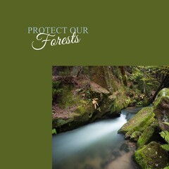 Fototapeta premium Composite of protect our forests text and long exposure of river flowing in forest