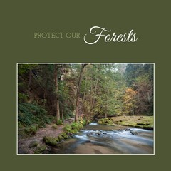 Obraz premium Composite of protect our forests text and tranquil view of river flowing in woodland