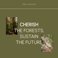Fototapeta premium Composite of this friday, cherish the forests, sustain the future text and trees growing in forest
