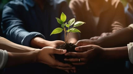 Fotobehang Hand holding a seedling plant against a blurred green nature background with sunlight. Earth Day idea, Sustainable Development © WS Studio 1985