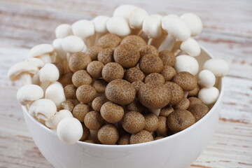 A bunch of brown and white honey agaric mushrooms