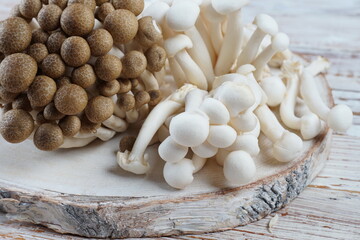 A bunch of brown and white honey agaric mushrooms