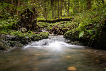 Friedlicher Bach im Wald mit weichem Wasser