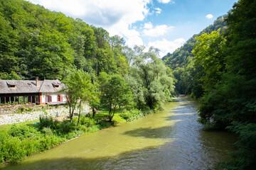 Fototapeta na wymiar Landscape with the Crisul Repede river in the area of the Vadu Crisului gorge - Romania