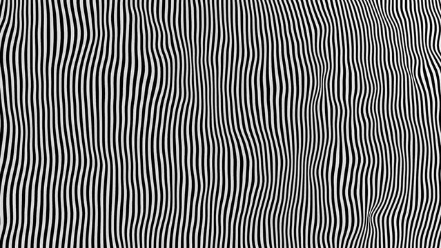 Optical illusion black and white with zig zag lines, in the style of creased crinkled wrinkled. Black and white monochrome painting with vertical and lines stripes, in the style of opt art  Loop video