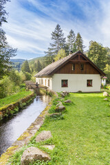 Fototapeta na wymiar Canal flowing to the water mill of Srni in the Sumava mountains, Czech Republic