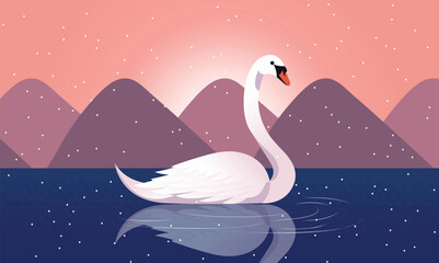 A Beautiful Swan Floating Water in Snowfall, Mountain at the Sunshine or Sunset View.