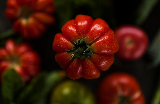 red ripe tomato on a dark background